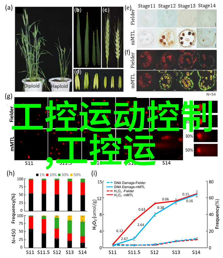 中控中标年产60万吨密闭电石炉项目